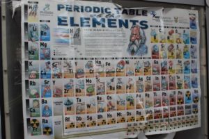 Science and maths success in township schools