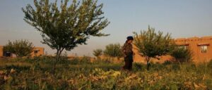 Women’s cooperatives overcome water wars and climate drought in Rojava