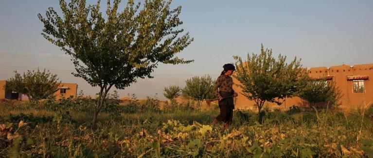Women’s cooperatives overcome water wars and climate drought in Rojava