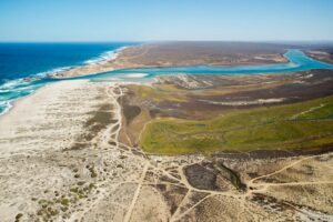 Protect The West Coast’s victory checks Trans Hex mining
