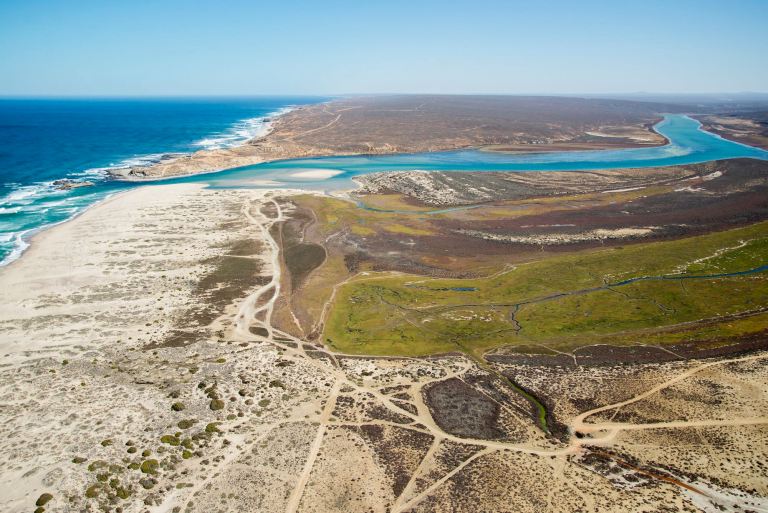 Protect The West Coast’s victory checks Trans Hex mining