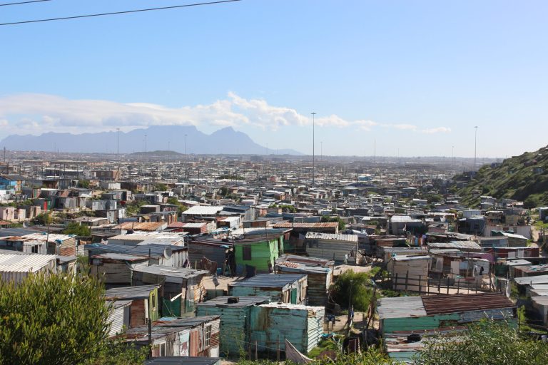 Government won’t build you a house, Housing Minister Kubayi tells activists