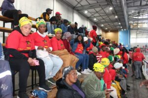 SACP and Cosatu lambast the ANC