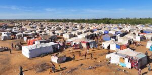 e-News bulletin 20 March 2025