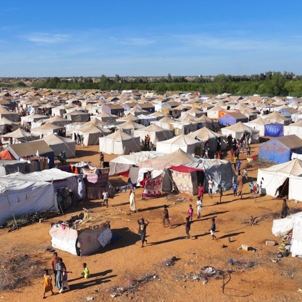 e-News bulletin 20 March 2025