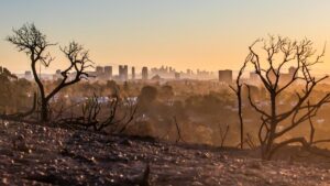 e-News bulletin 7 March 2025