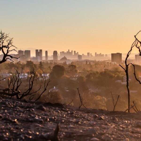 e-News bulletin 7 March 2025