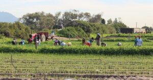 Women farmworkers call for land redistribution to address hunger