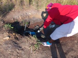 Bush toilets and bucket water for occupiers of RDP houses and their rightful owners