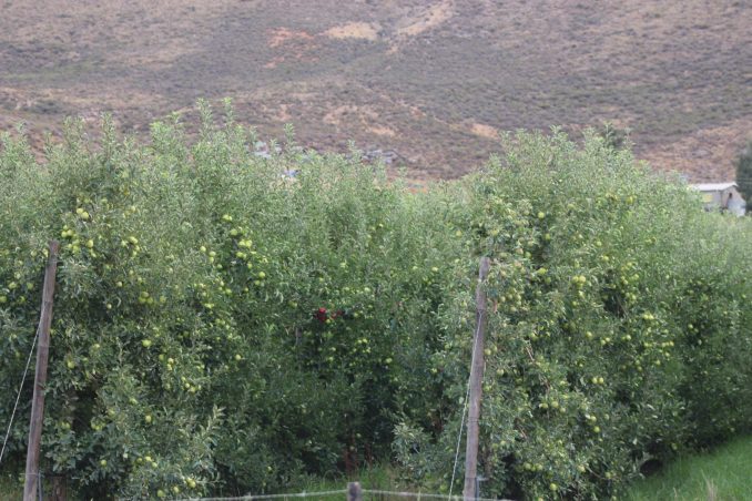 Wave of farm evictions in Ceres leaves families without housing