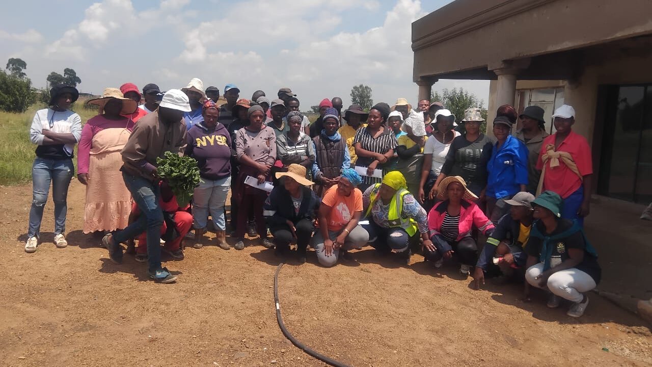LCMF garden group