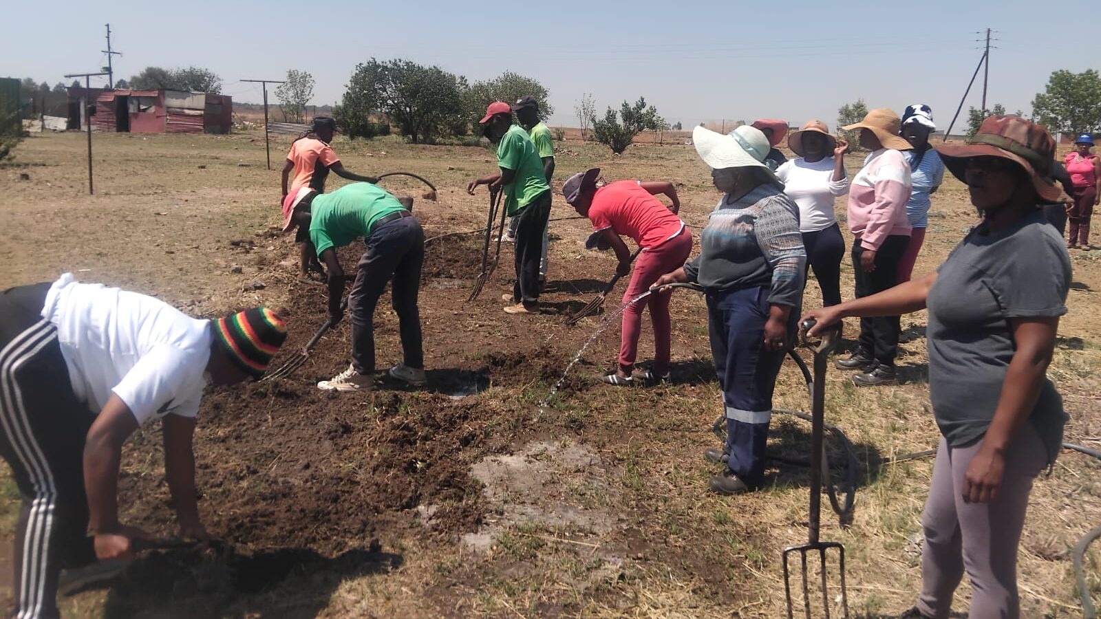 LCMF Garden planting